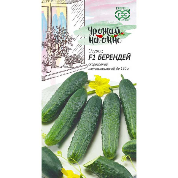 Огурец Берендей Урожай на окне Гавриш Ц x10