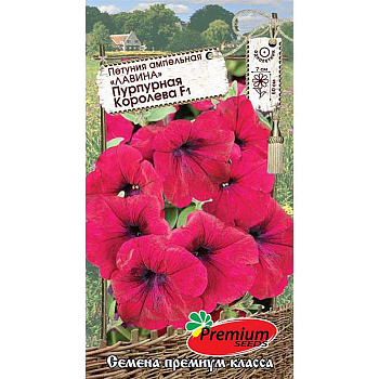 Петуния Пурпурная королева Премиум Сидс 