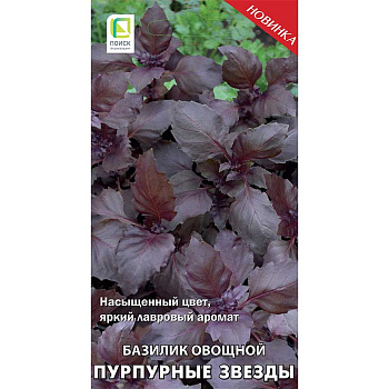 Базилик Пурпурные Звезды Поиск Ц