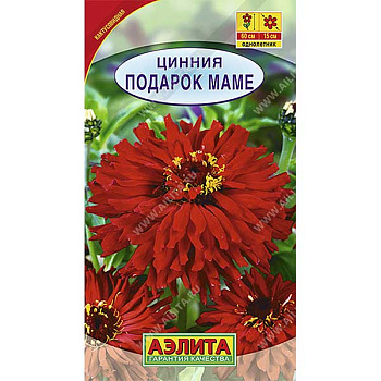 Циния Подарок маме Аэлита Цх10 