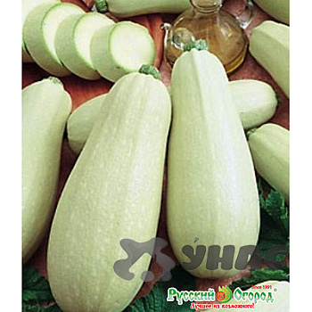 Кабачок Горный НК Ц