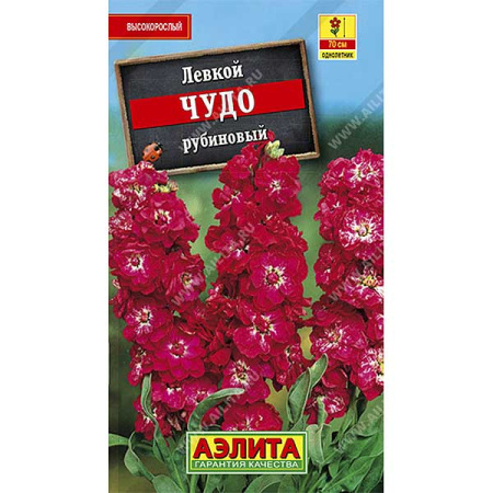 Левкой Чудо рубиновый высокоросл. Аэлита Ц 