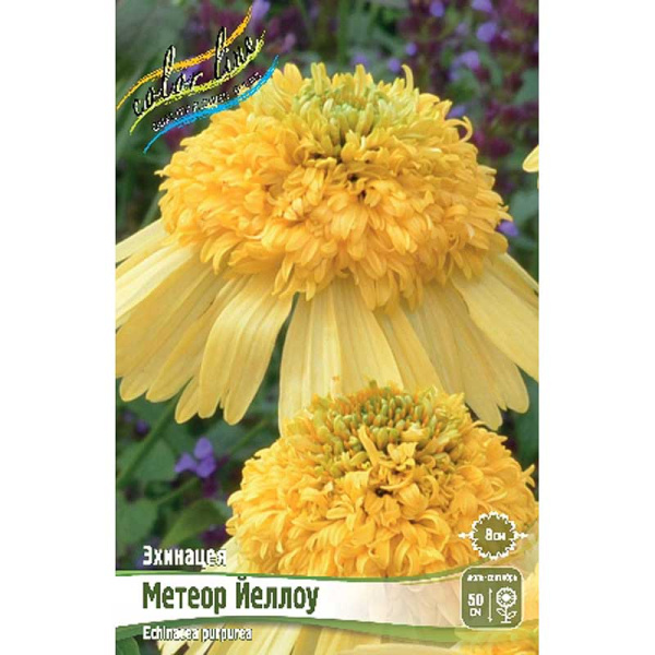 8186 Биг-Пак Эхинацея Метеор Йеллоу I 25 шт 