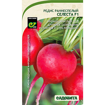 Редис Селеста F1 0,5гр Enza Zaden/Садовита Ц