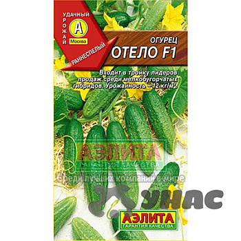 Огурец Отело Аэлита Ц