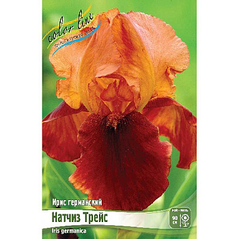 Ирис Германский Натчиз Трейс I 25 шт Биг-пак 633