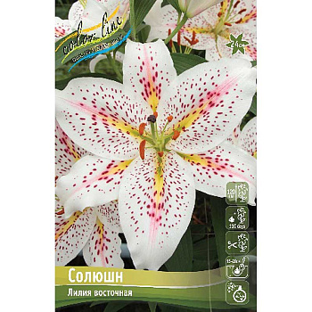 Лилия Солюшн 12/14 5 шт 