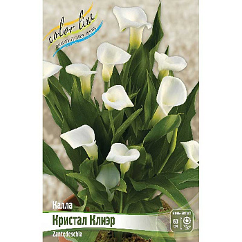 Калла Кристал Клиэр 12/14 30 шт Шоу-бокс 13504 