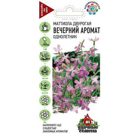 Маттиола Вечерний аромат  Удач сем Гавриш Ц 