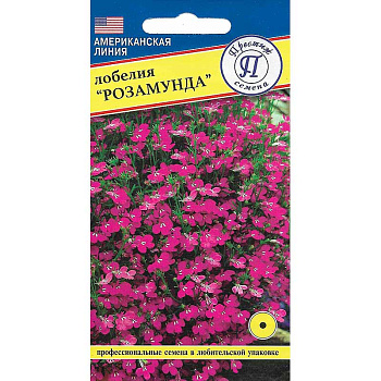 Лобелия Розамунда Престиж Ц 