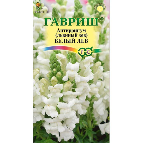 Антирринум (Львиный зев) Белый лев Гавриш Ц 