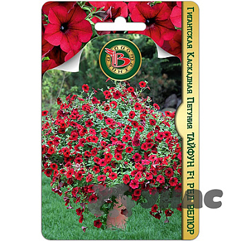 Петуния Тайфун Ред Велюр Биотехника Ц 