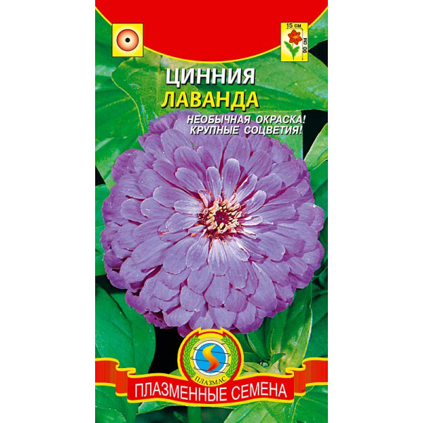 Циния Лаванда Плазма Ц 