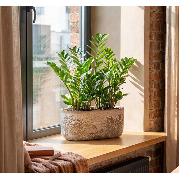 Кашпо МИКРИТ овальное 385x180мм 6л со вставкой бежевый слайн М3274 х1 