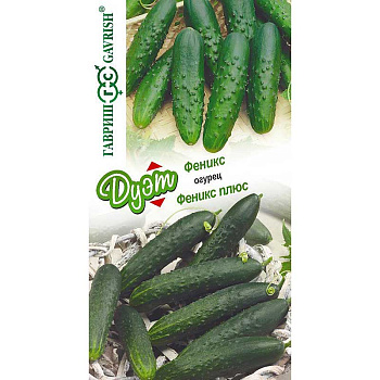Огурец Дуэт Феникс+Феникс плюс Гавриш Ц
