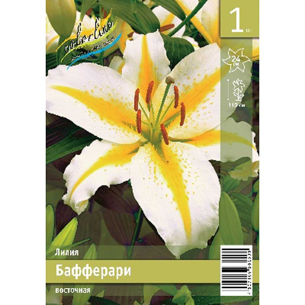 Лилия Бафферари 12/14 1 Эконом шт 