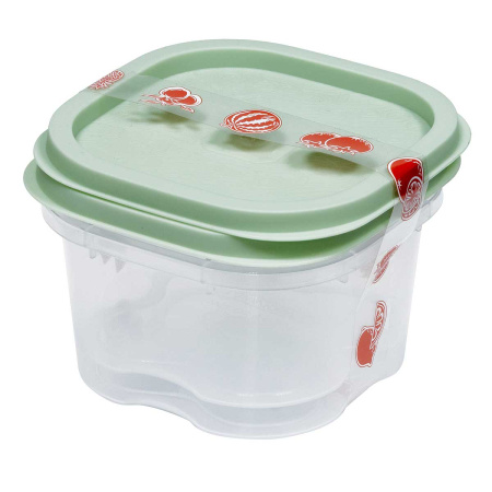 Набор контейнеров 2х0,4л