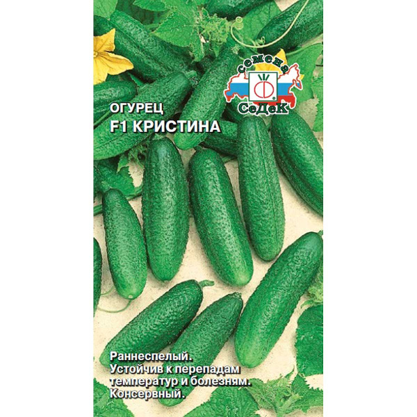 Огурец Кристина Седек Ц