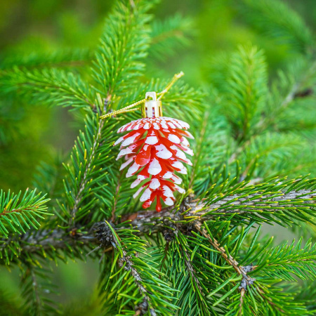Шар 6DC6-H32-1 6шт 6см "Шишка" красная с белой каймой (360)