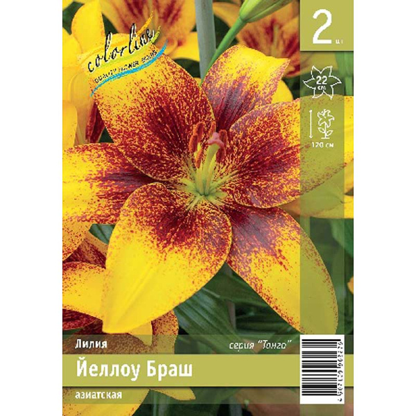 Лилия Йеллоу Браш 12/14 2 Эконом шт 