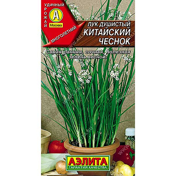 Лук душистый Китайский чеснок Аэлита Ц