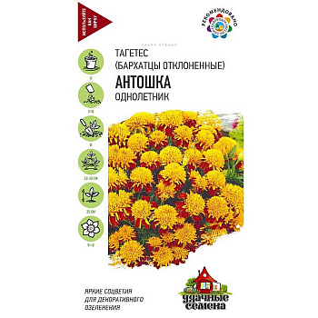 Бархатцы Антошка Удач сем  Гавриш Ц 