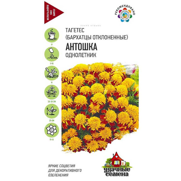 Бархатцы Антошка Удач сем  Гавриш Ц 