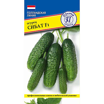 Огурец Сибат Престиж Цх10