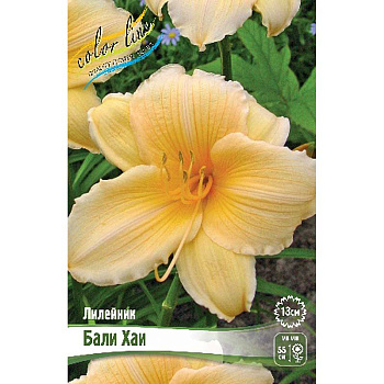 Лилейник Бали Хаи I 1 шт 