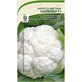 Капуста цветная Скайвокер F1 10шт Bejo/Садовита Ц