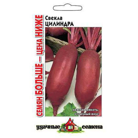 Свекла Цилиндра Удачные Семена Семян больше Гавриш Ц
