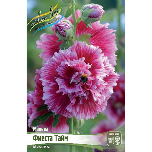 Мальва Фиеста Тайм I 1 шт
