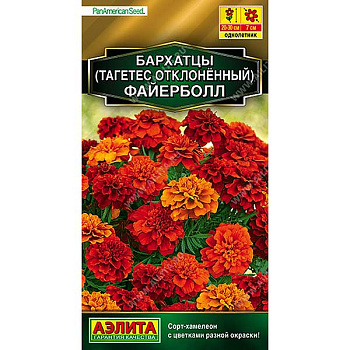Бархатцы Файерболл отклоненные Аэлита Ц х10 