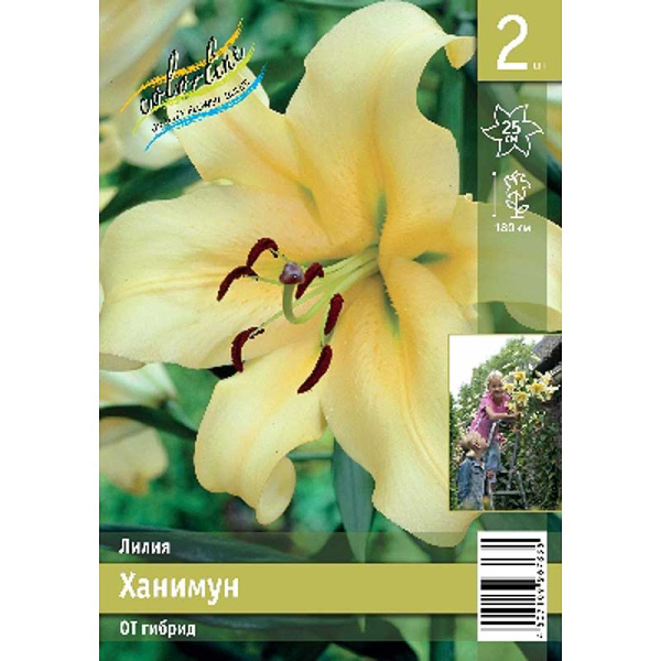 Лилия Ханимун 12/14 2 Эконом шт 