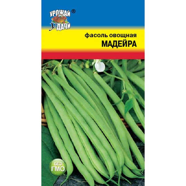 Фасоль Майдейра Урожай у дачи Ц