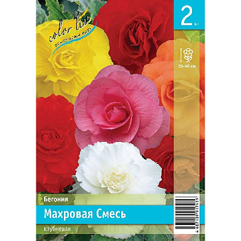 Бегония Махровая Смесь 4/5 2 Эконом шт