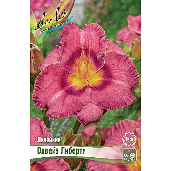 Лилейник Олвейз Либерти I 1 шт 