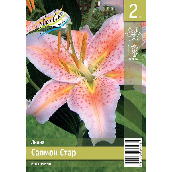 Лилия Салмон Стар 12/14 2 Эконом шт 