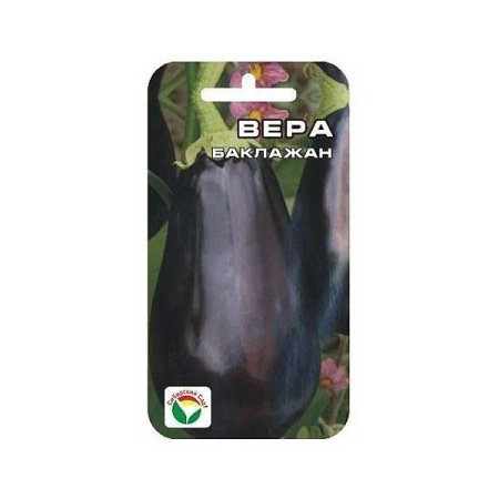 Баклажан Вера СибСад Ц