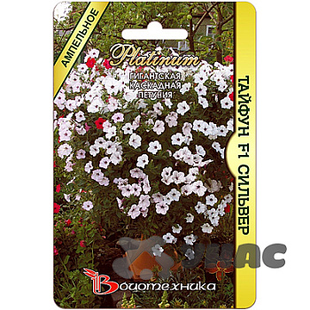 Петуния Тайфун Сильвер Биотехника Ц 