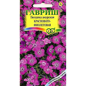 Гвоздика амурская Красновато-фиолетовая Гавриш Ц 