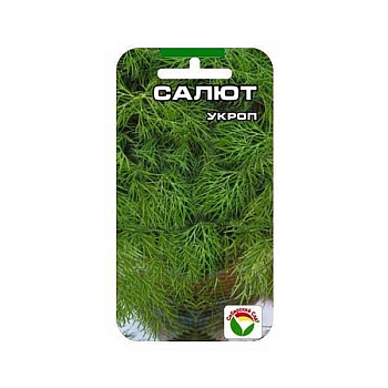 Укроп Салют СибСад Ц