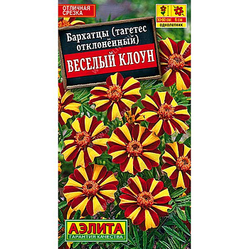 Бархатцы Веселый клоун отклоненные Аэлита Ц 