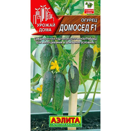 Огурец Домосед Аэлита Ц