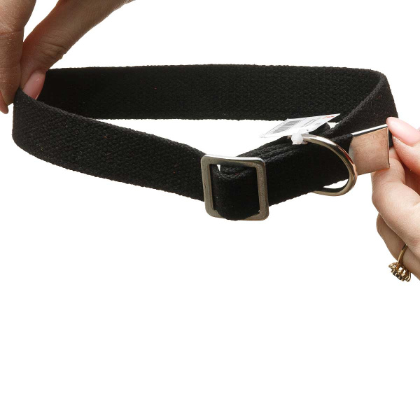 Ошейник брезент ширина 25 мм безразмерный 50 см