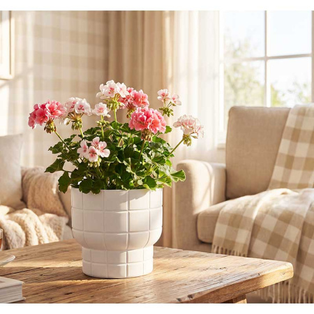 Кашпо КАРЕ D220мм 3,7л со вставкой белый М3258 х9 