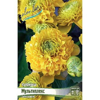 Калужница Мультиплекс I 1 шт