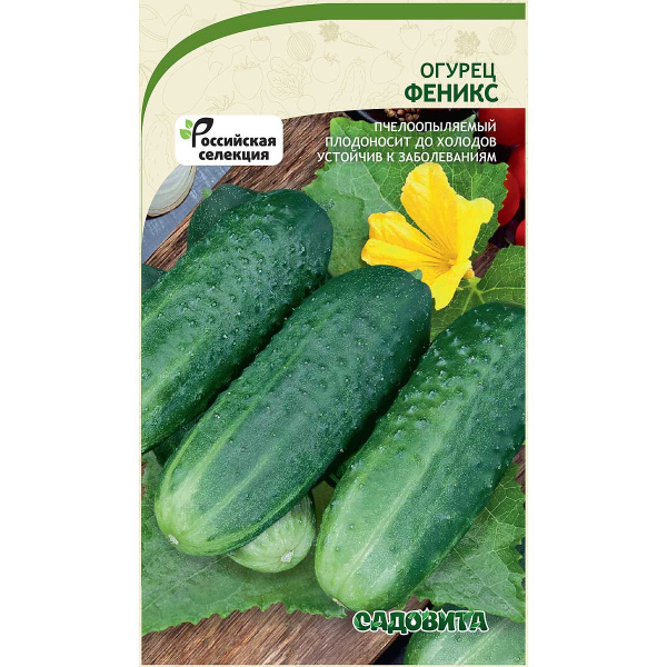 Огурец Феникс 10шт Садовита Ц