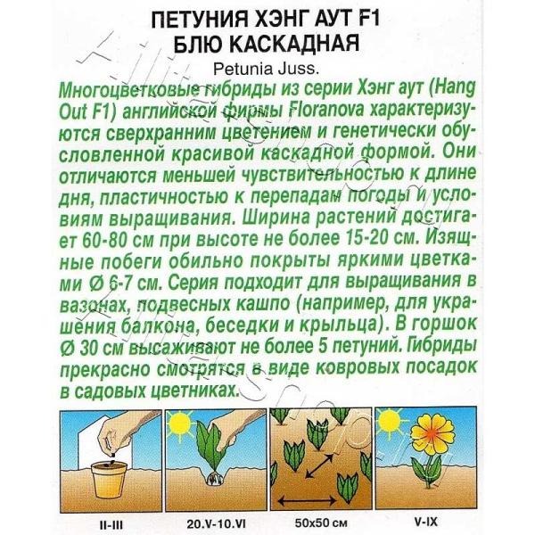 Петуния Хэнг аут блю каскад Аэлита 