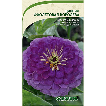Циния Фиолетовая королева 0,4гр Садовита Ц 